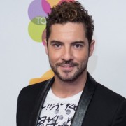 David Bisbal