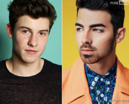 Shawn Mendes y Joe Jonas