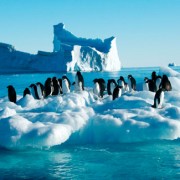 antarctica