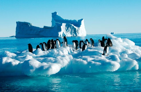 antarctica